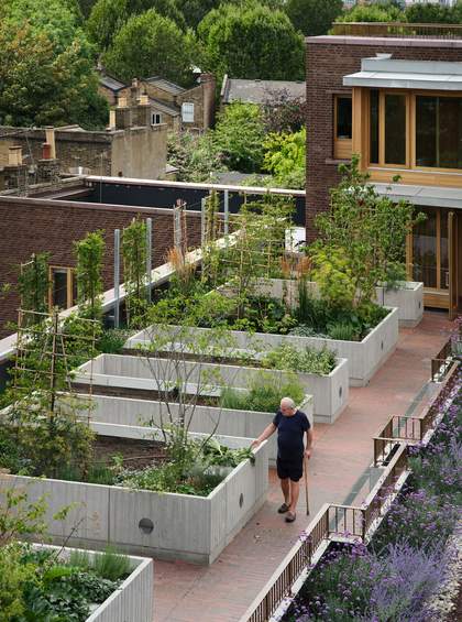 A person is walking through a rooftop garden with one hand outstretched towards a plant in a planter box and the other holding a walking stick.