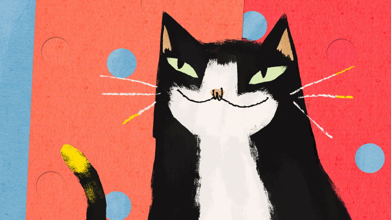 Mildred the Gallery cat looks to one side, she is a black and white cat, against a blue and red backdrop