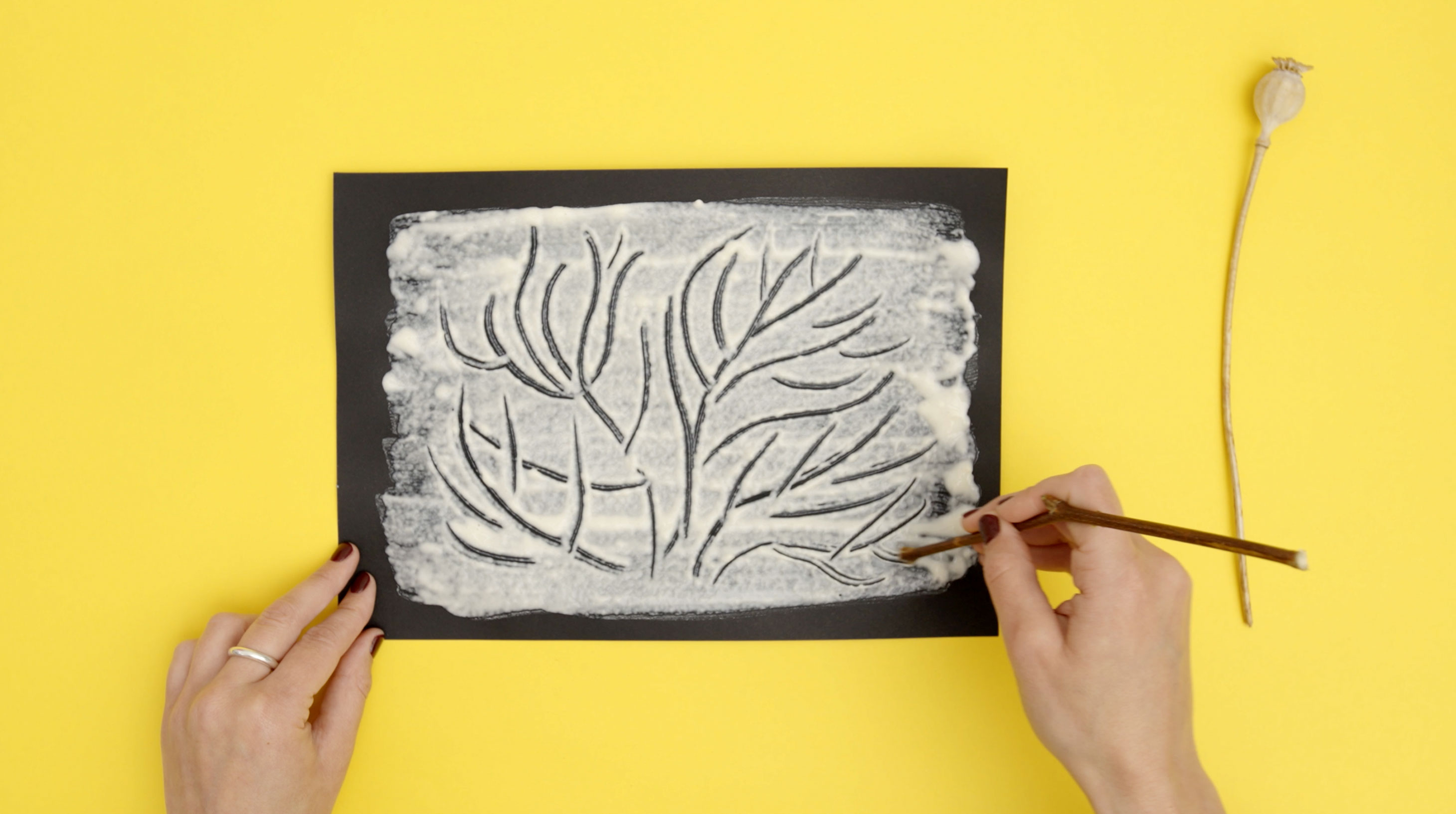 a yellow background, a pair of pale-skinned hands either side of a black piece of paper upon which white paint is being scratched into in the shape of a bare-branched tree